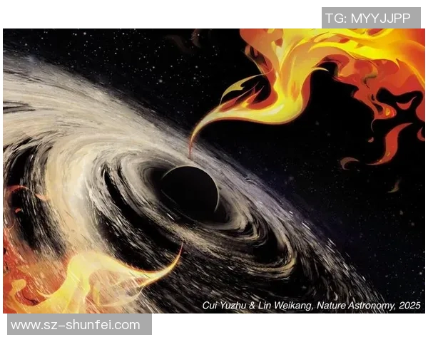 探索奥蓬达的魅力与传奇揭示其背后的文化与历史价值