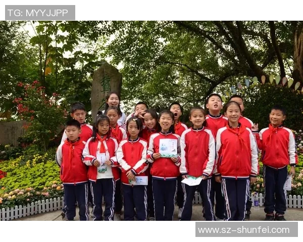 探索3D乙种和值谜的奥秘与解法技巧，开启你的智力挑战之旅