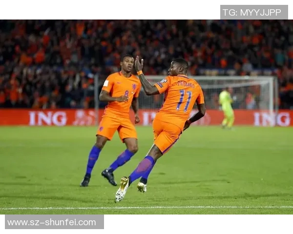 荷兰与宝加利亚的足球对决分析及比赛前瞻探讨 荷兰与宝加利亚的足球对决分析及比赛前瞻探讨